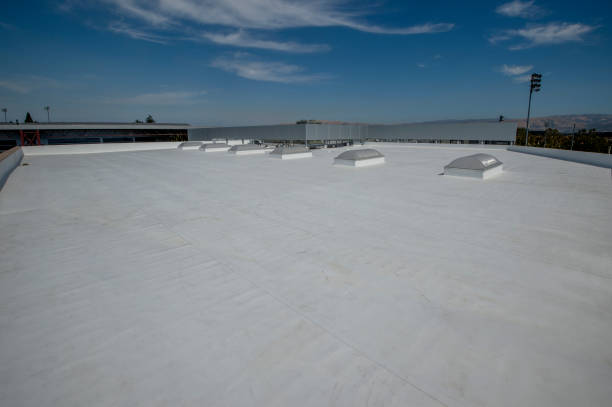 Best Sheet Metal Roofing  in Pleasant Garden, NC