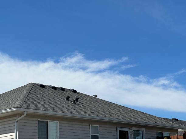 Best Asphalt Shingle Roofing  in Pleasant Garden, NC